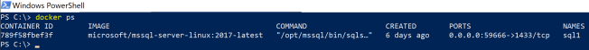 2. container SQL Server is running