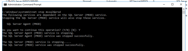 Screen Shot 2019-02-26 at 10.59.21